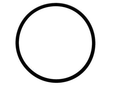 Chevy Tahoe Fuel Pump Tank Seal - 25028682