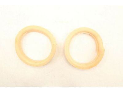 Cadillac CTS Coil Spring Insulator - 22784561