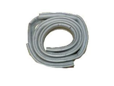 Buick Regal Weather Strip - 10415944