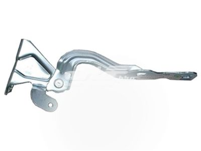 Chevy 95462342 Hinge