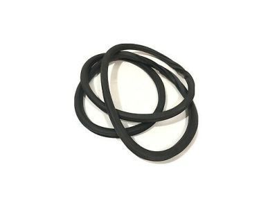 GMC Sierra 1500 Weather Strip - 23446715