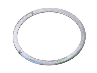 GM 24287382 Shim, Differential Rear Pinion Bearing, Front Driver Side 24287382 GM Shim, Differential Rear Pinion Bearing, Front Driver Side Product Photo 1 of 1