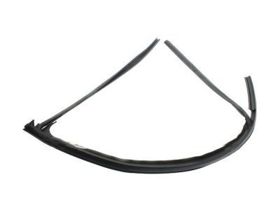 Pontiac Door Moldings - 15853016