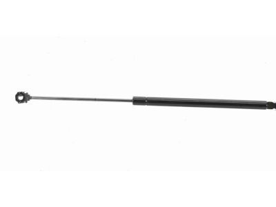 Pontiac Lift Support - 25620650