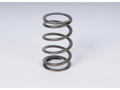 GM 24208765 Spring, Transmission Servo & Accumulator 24208765 GM Spring, Transmission Servo & Accumulator Product Photo 1 of 1