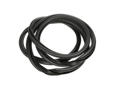 Chevy Astro Door Seal - 15161704