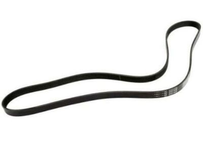 Pontiac 19244956 Serpentine Belt
