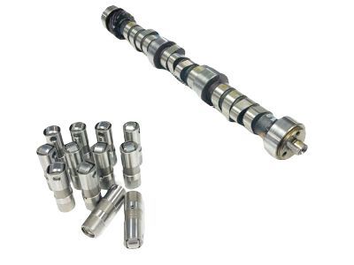 Chevy C1500 Camshaft - 10241691