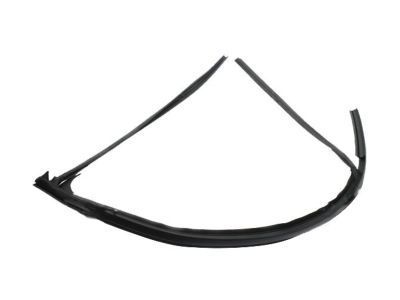 Pontiac Door Moldings - 15853015
