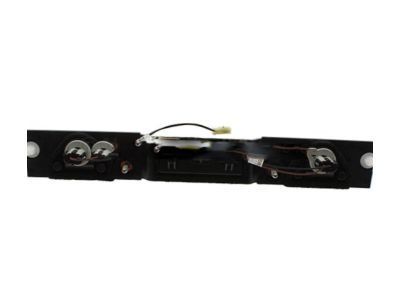 Pontiac Tailgate Handle - 15285069