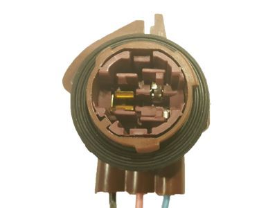 Chevy Light Socket - 15306147