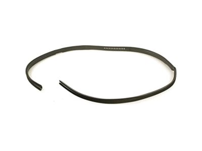 Chevy C2500 Door Seal - 15001925
