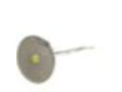 Chevy Camaro Intake Valve - 12605223