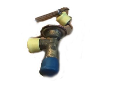 Buick 52467813 Expansion Valve