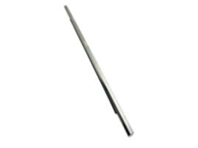 Buick Door Moldings - 20902218