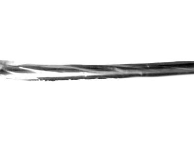 Oldsmobile Door Moldings - 10311255