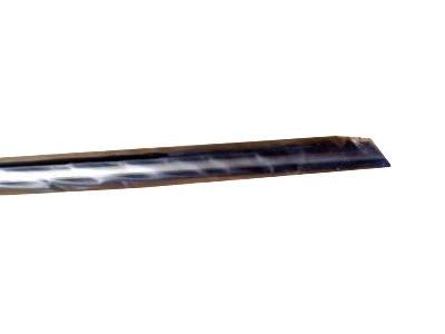 Oldsmobile Door Moldings - 10311255