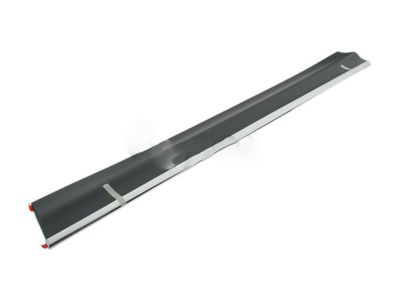 Buick 12374517 Body Side Molding