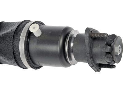Buick Lucerne Shock Absorber - 19300025