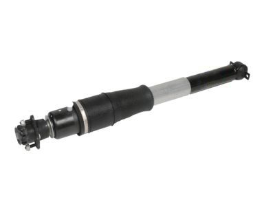 Buick Lucerne Shock Absorber - 19300025