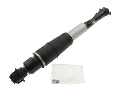 Buick Lucerne Shock Absorber - 19300025