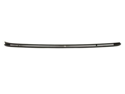 Cadillac 23179298 Side Molding