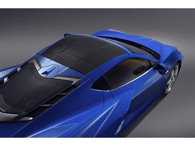 GM 84400538 Extension Package, Roof Panel, Carbon Fiber 84400538 GM Extension Package, Roof Panel, Carbon Fiber Product Photo 1 of 1