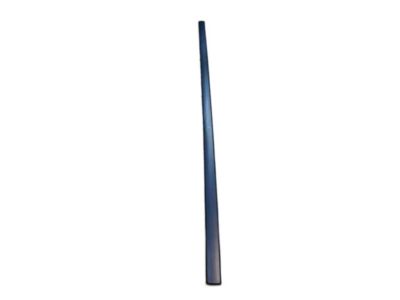 Chevy 19120044 MOLDING,FRONT SIDE DOOR CENTER(ADHESIVE BACKED)(PAINT TO MATCH)