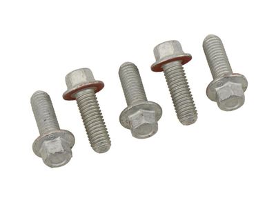 12556127 GM Bolt, Engine Rear Main Bearing Product Photo 2 of 2