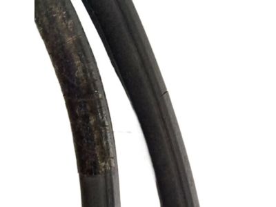 Pontiac Weather Strip - 20787126