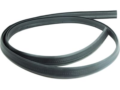 Pontiac Weather Strip - 20787126