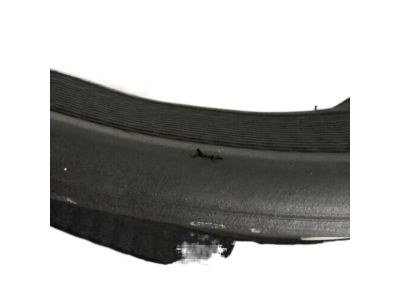 Pontiac Weather Strip - 20787126
