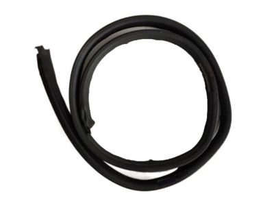 Pontiac Weather Strip - 20787126