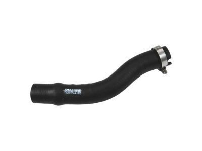 Chevy Avalanche Fuel Filler Hose - 22951232