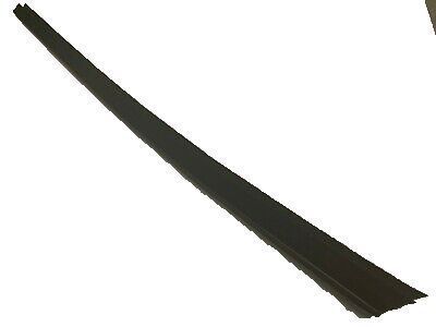 Pontiac Door Moldings - 10326349