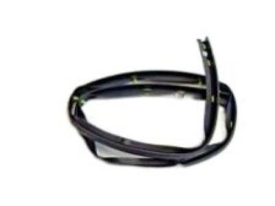 Chevy Traverse Door Seal - 25790461