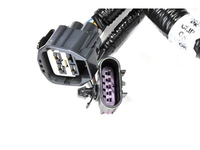 23225454 GM Harness, Capsule/Headlamp/Fog Lamp Product Photo 2 of 3