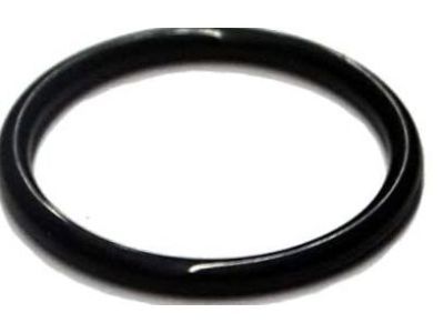 GMC Thermostat Gasket - 94011602