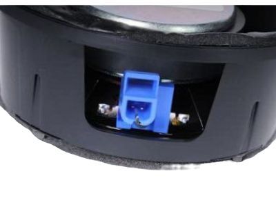 Buick Car Speakers - 25798962