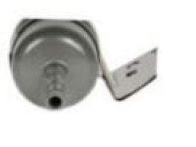 Pontiac Fuel Filter - 10333072