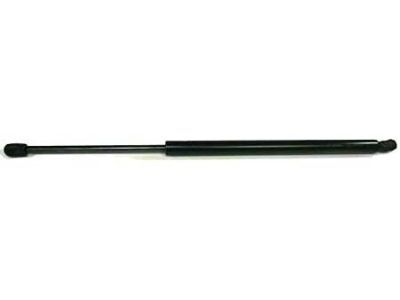 Chevy 10275941 Lift Cylinder