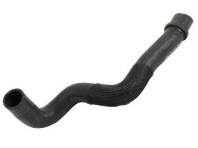GMC 22896362 Lower Hose