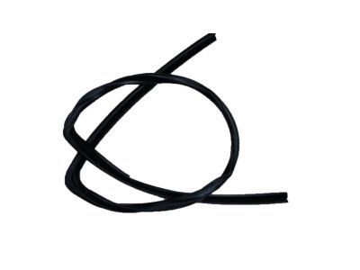 Pontiac G5 Weather Strip - 20906468