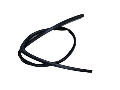 Pontiac G5 Weather Strip - 20906468