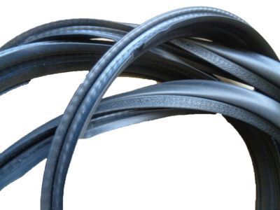 Chevy 10212939 Weatherstrip