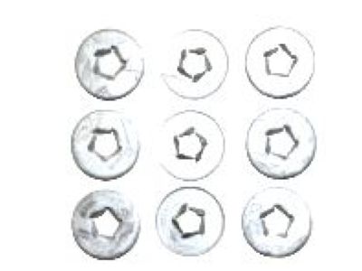 Chevy 10009923 Front Shield Retainer