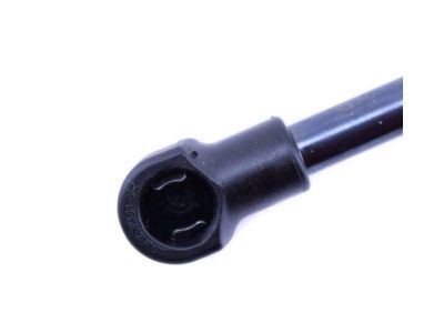 Pontiac Lift Support - 19184244