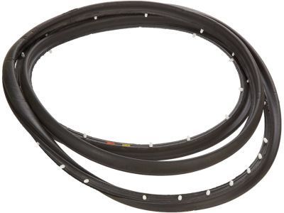 GMC Door Seal - 15975379