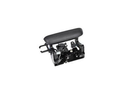 Chevy Tailgate Handle - 19209650