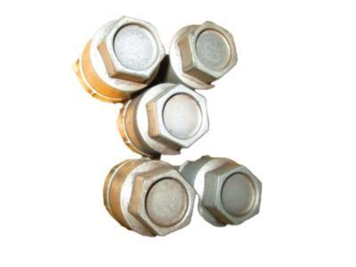 Chevy 12337914 CAP, NUT (SILVER METAL)
